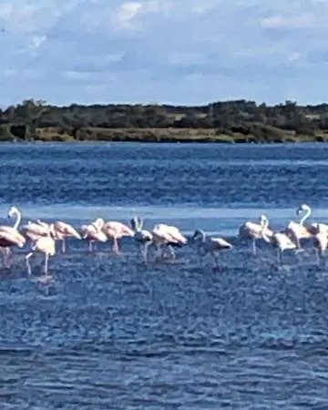 Campingplatz Le Flamant Rose *